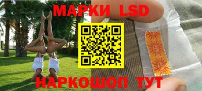 стаф Новозыбков