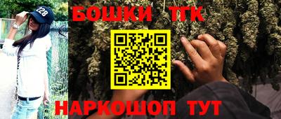 стаф Новозыбков