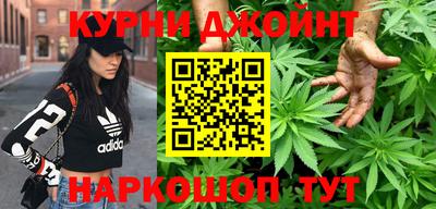 стаф Новозыбков