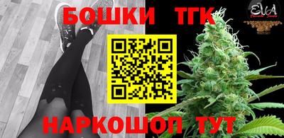 стаф Новозыбков