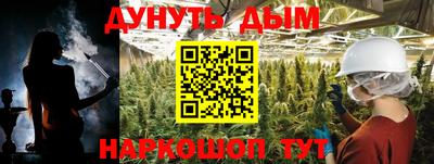 стаф Новозыбков