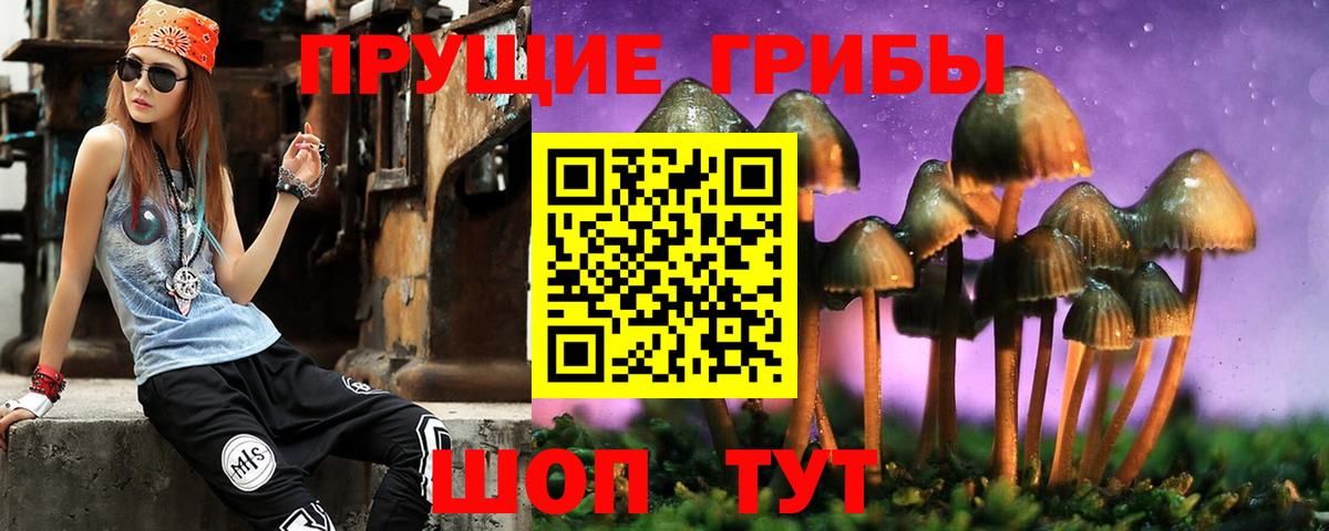 Галлюциногенные грибы Magic Shrooms Энгельс